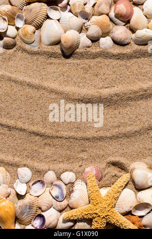 Contexte : L'étoile de mer et coquillages sur le sable de la mer Banque D'Images