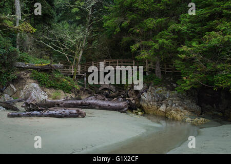 Pont à pied Plage Tonquin, Tofino, Colombie-Britannique Banque D'Images