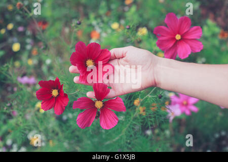 Une jeune femme est la cueillette des fleurs dans un pré en été