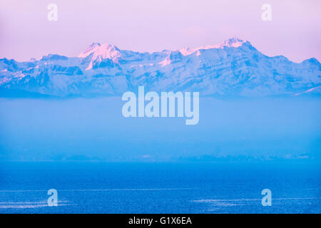 Lac avec des montagnes Altmann et Säntis en Suisse, lumière du matin, vue de Moleturm à Friedrichshafen Banque D'Images