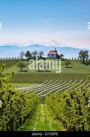 Plantation, apple orchard, dans Selmnau Antoniuskapelle près de Wasserburg au lac de Constance, en Suisse dans la montagne Säntis Banque D'Images