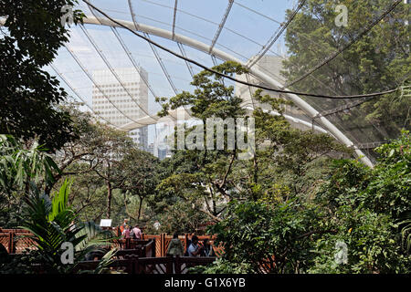 Volière à Hong Kong Park, District Central, Hong Kong Island, Hong Kong, Chine Banque D'Images