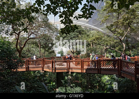 Volière à Hong Kong Park, District Central, Hong Kong Island, Hong Kong, Chine Banque D'Images