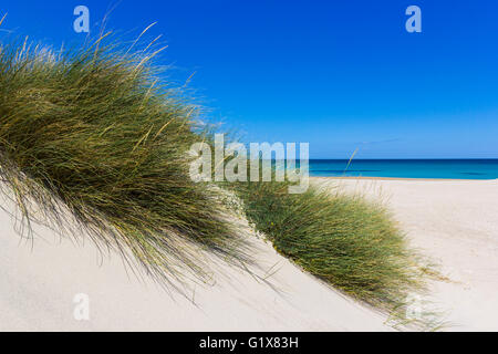 Salento Lecce : la mer, la plage et des dunes de sable Banque D'Images