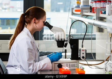 Groupe de travail scientifique à la loupe Banque D'Images