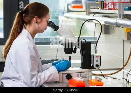 Groupe de travail scientifique à la loupe Banque D'Images