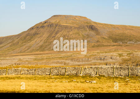 Ingleborough la deuxième plus haute montagne dans le Yorkshire après Pen y Gand à 723 mètres (2 372 ft). Banque D'Images