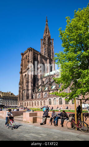Place du Château place avec Notre-Dame cathédrale gothique du 14e siècle, Strasbourg, Alsace, France, Europe, Banque D'Images