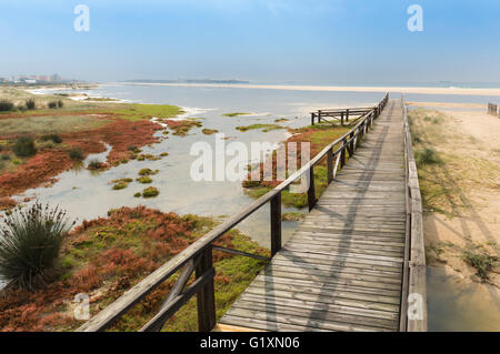 Tarifa, Playa de Los Lances, Costa de la Luz, Cadix, Andalousie, Espagne, Europe du Sud. Banque D'Images