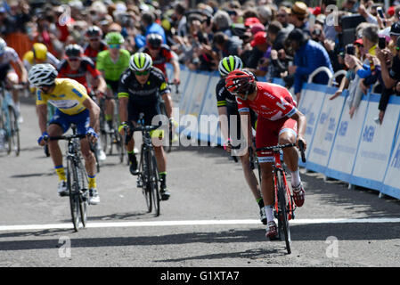 South Lake Tahoe, California, USA. 19 mai, 2016. Le peleton traverse la ligne d'arrivée au 11ème Amgen Tour de Californie 2016, stade 1, South Lake Tahoe, Californie - le 19 mai 2016. Crédit : Louis Brunel/Alamy Live News Banque D'Images