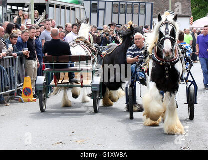 Wickham, Hampshire, Royaume-Uni. 20 mai, 2016. La bohème et les amoureux des animaux ont en grand nombre pour cette année, la foire du cheval de Wickham. L'événement annuel rassemble des milliers de personnes à Hampshire chaque année pour prendre part à des activités liés aux chevaux. Les routes dans le village sont fermées tout au long de la journée et les autorités travaillent ensemble pour assurer l'événement est un succès. Credit : uknip/Alamy Live News Banque D'Images