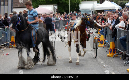 Wickham, Hampshire, Royaume-Uni. 20 mai, 2016. La bohème et les amoureux des animaux ont en grand nombre pour cette année, la foire du cheval de Wickham. L'événement annuel rassemble des milliers de personnes à Hampshire chaque année pour prendre part à des activités liés aux chevaux. Les routes dans le village sont fermées tout au long de la journée et les autorités travaillent ensemble pour assurer l'événement est un succès. Credit : uknip/Alamy Live News Banque D'Images