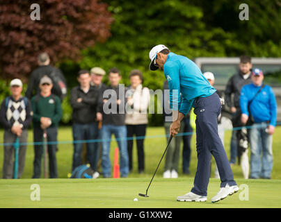 Le K Club, Straffan, France. 20 mai, 2016. Dubai Duty Free Irish Open Golf Championship Round 2. Rafa Cabrera Bello robinets dans le 14e vert. Credit : Action Plus Sport Images/Alamy Live News Banque D'Images