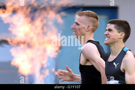 Ostrava, République tchèque. 20 mai, 2016. République tchèque Filip Sasinek (à gauche) remporte le 1500 m au Golden Spike tchèque rencontrez, à Ostrava, en République tchèque, le vendredi, 20 mai, 2016. Voir à droite Timo Benitz de Allemagne. Photo : CTK Jaroslav Ozana/Photo/Alamy Live News Banque D'Images