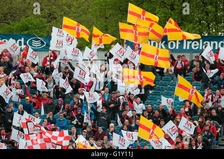 RDS Arena, Dublin, Irlande. 20 mai, 2016. Pro Guinness12 demi-finales. Le Leinster et l'Ulster. Ulster fans battant le pavillon. Credit : Action Plus Sport/Alamy Live News Banque D'Images