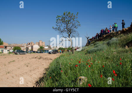 Cetina, Espagne. 21 mai, 2016. Les gens qui regardent les courses de lévriers dans Cetina. Credit : Valentin/Sama-Rojo Alamy Live News. Banque D'Images