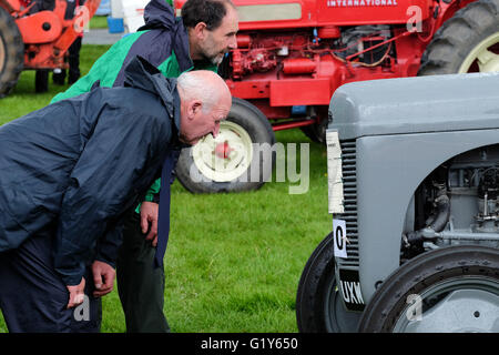 Royal Welsh Festival du printemps, mai 2016 - Deux hommes profiter de regarder l'écran de vieux tracteurs vintage. Banque D'Images