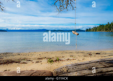 Camping dans la nature sauvage canadienne avec un swing fait maison Banque D'Images