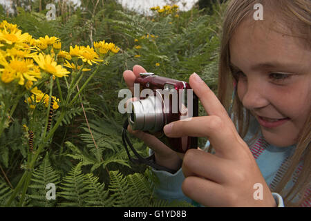 Jeune fille photographiant Cinnibar Espèce de chenilles sur Ragwort, Kelling Heath Norfolk summer Banque D'Images