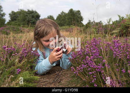 Jeune fille photographiant heather sur Heath, Kelling Heath Norfolk summer Banque D'Images