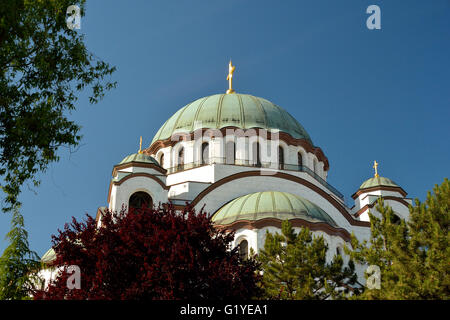 Eglise de Saint Sava, Belgrade, Serbie Cathédrale Banque D'Images