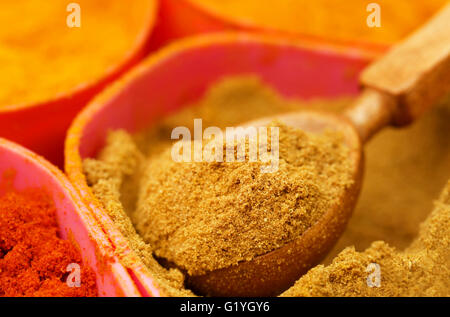 La coriandre moulue avec d'autres épices dans un récipient Banque D'Images