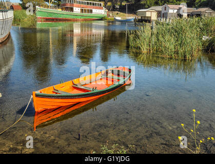 Les canards dans un bateau. Banque D'Images