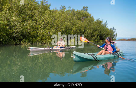 Péninsule de Osa, COSTA RICA - Homme et femme paddle kayaks sur la rivière en mangrove. Banque D'Images