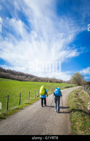 Chemin de Saint Jacques de St Jean Pied de Port, en France, à Burgos, Espagne. Banque D'Images