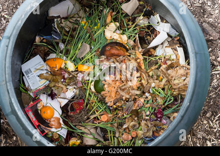 Intérieur d'un bac à compost en plastique pour la maison avec les restes et déchets de jardin à l'intérieur Banque D'Images