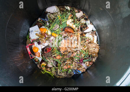 Intérieur d'un bac à compost en plastique pour la maison avec les restes et déchets de jardin à l'intérieur Banque D'Images