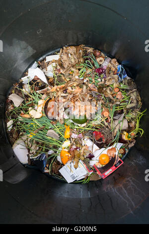 Intérieur d'un bac à compost en plastique pour la maison avec les restes et déchets de jardin à l'intérieur Banque D'Images