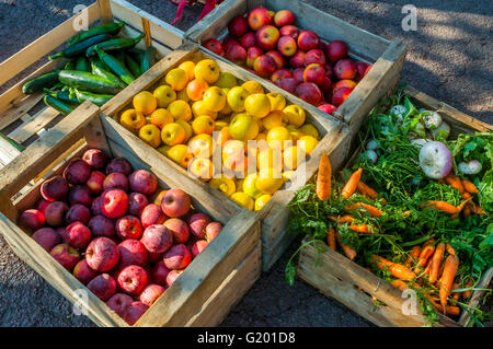 "Bio" / les aliments biologiques dans des boîtes - France. Banque D'Images