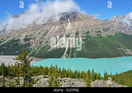 Le lac Peyto à eaux sur la Promenade des glaciers des Rocheuses canadiennes. Banque D'Images