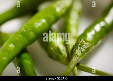 Petit piment vert, parfois appelé 'Thai' piment Banque D'Images