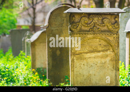 Cimetière juif de Cracovie, vue sur les tombes dans le cimetière juif de Remeuh dans le quartier de Kazimierz à Cracovie, en Pologne. Banque D'Images