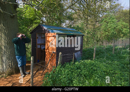 Gardiennage et surveillance des nids de Balbuzards à Rutland Water summer Banque D'Images