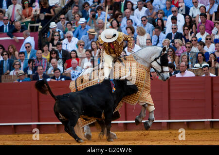 Tercio de picadores lors d'une corrida de la Feria de Abril" célébrée à arènes Real Maestranza de Séville le 10 mai 2014 à Séville, Espagne Banque D'Images