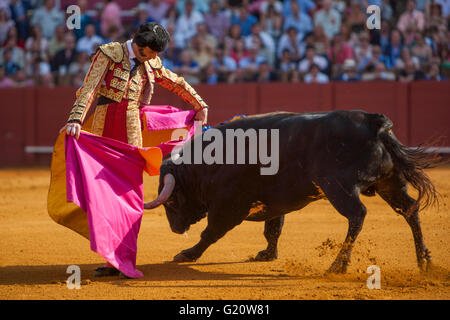 Torero Juan José Padilla en action lors d'une corrida de la Feria de Abril" célébrée à arènes Real Maestranza de Séville le 10 mai 2014 à Séville, Espagne Banque D'Images