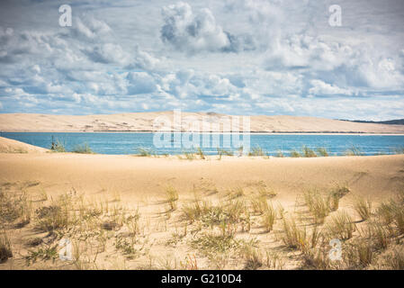 Vue sur le bassin d'Arcachon et de la Duna de Pyla, Aquitaine, France Banque D'Images