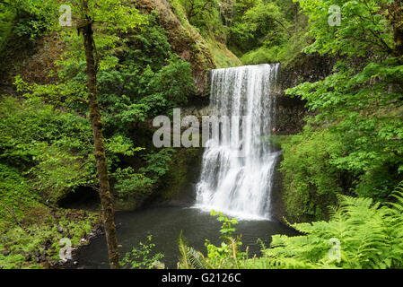 Lower South Falls, avec la famille de randonneurs sur le sentier derrière la cascade ; Silver Falls State Park, Oregon. Banque D'Images