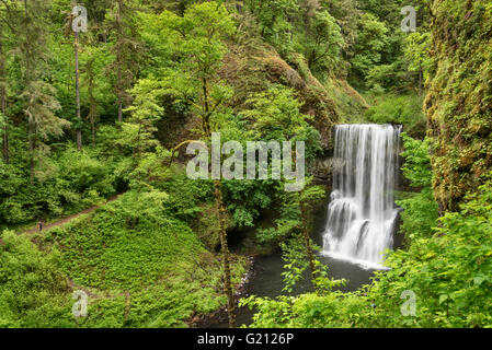 Lower South Falls et randonneur Trail de dix Falls prend une photo de la cascade ; Silver Falls State Park, Oregon. Banque D'Images