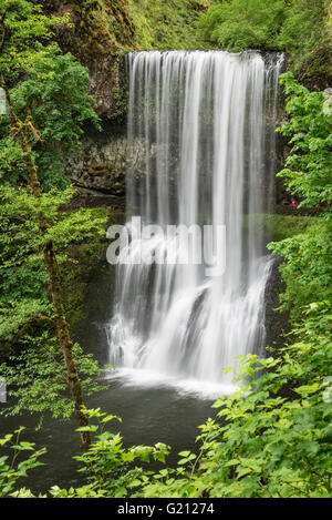 Lower South Falls avec randonneur sur sentier derrière la cascade ; Silver Falls State Park, Oregon. Banque D'Images