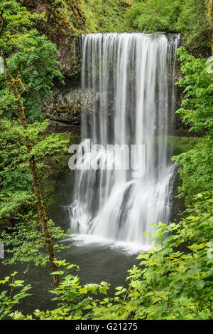 Lower South Falls, avec les randonneurs sur le sentier derrière la cascade ; Silver Falls State Park, Oregon. Banque D'Images