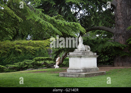 Londres, Royaume-Uni. 21 mai, 2016. Hier et aujourd'hui photos des motifs de Chiswick House à l'ouest de Londres, 50 ans après les Beatles a fait l'histoire de la musique pop avec leurs vidéos pour "Paperback Writer" et "Rain" tourné le 20 mai 1966 : Crédit photographique à vue/Alamy Live News Banque D'Images