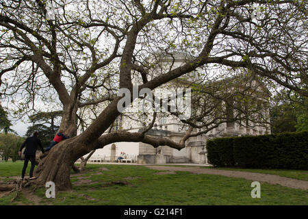 Londres, Royaume-Uni. 21 mai, 2016. Hier et aujourd'hui photos des motifs de Chiswick House à l'ouest de Londres, 50 ans après les Beatles a fait l'histoire de la musique pop avec leurs vidéos pour "Paperback Writer" et "Rain" tourné le 20 mai 1966 : Crédit photographique à vue/Alamy Live News Banque D'Images