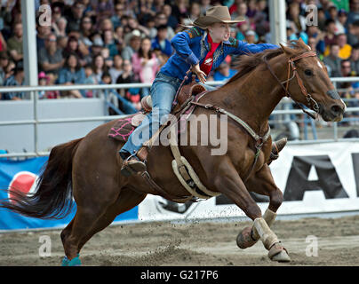 Surrey, Canada. 21 mai, 2016. Une cowgirl en concurrence pour la course de barils dames pendant la Cloverdale Rodeo à Surrey, Canada, Mai 21, 2016. Plus de 95 cowboys et cowgirls participé leurs compétences à la 70e circonscription Cloverdale Rodeo à Surrey, Canada. Cloverdale Rodeo est l'une des plus grandes et plus ancien événement rodéo en Amérique du Nord. Crédit : Andrew Soong/Xinhua/Alamy Live News Banque D'Images