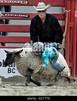 Surrey, Canada. 21 mai, 2016. Un enfant participe à l'événement au cours de l'eurojargon mouton Cloverdale Rodeo à Surrey, Canada, Mai 21, 2016. Plus de 95 cowboys et cowgirls concurrencer leurs compétences à la 70e circonscription Cloverdale Rodeo à Surrey, Canada. Cloverdale Rodeo est l'une des plus grandes et plus ancien événement rodéo en Amérique du Nord. Crédit : Andrew Soong/Xinhua/Alamy Live News Banque D'Images