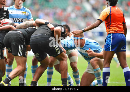 Londres, Royaume-Uni. 21 mai, 2016. Un joueur argentin à la recherche très ciblée dans leur préparation à la bloquer dans une mêlée de Nouvelle-Zélande lors de leur match de poule, HSBC World Rugby Sevens Series, du Stade de Twickenham, London, UK. Le match était un daw à la fin, 14-14. Crédit : Michael Preston/Alamy Live News Banque D'Images