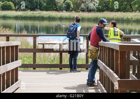 Les personnes bénéficiant du beau temps dans les milieux humides Woodberry réserve naturelle, Londres Angleterre Royaume-Uni UK Banque D'Images